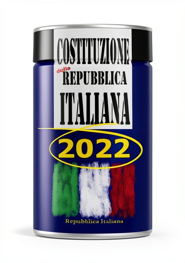 Italian Constitutional Law eBook by Amazon Kindle-0